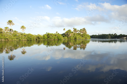 Remote Brazilian Lazy River Calm Reflection photo