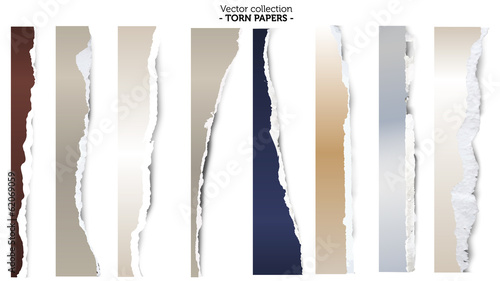 Collection of torn papers on white background, vector