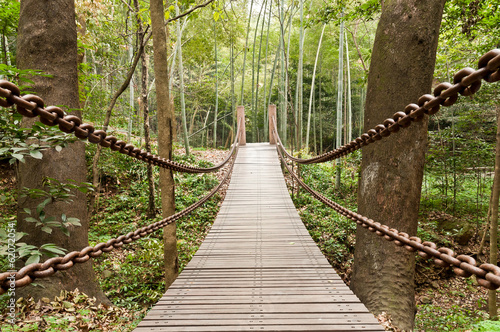 suspension bridge of  iron chain and woods