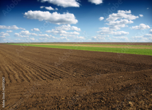 ploughed field