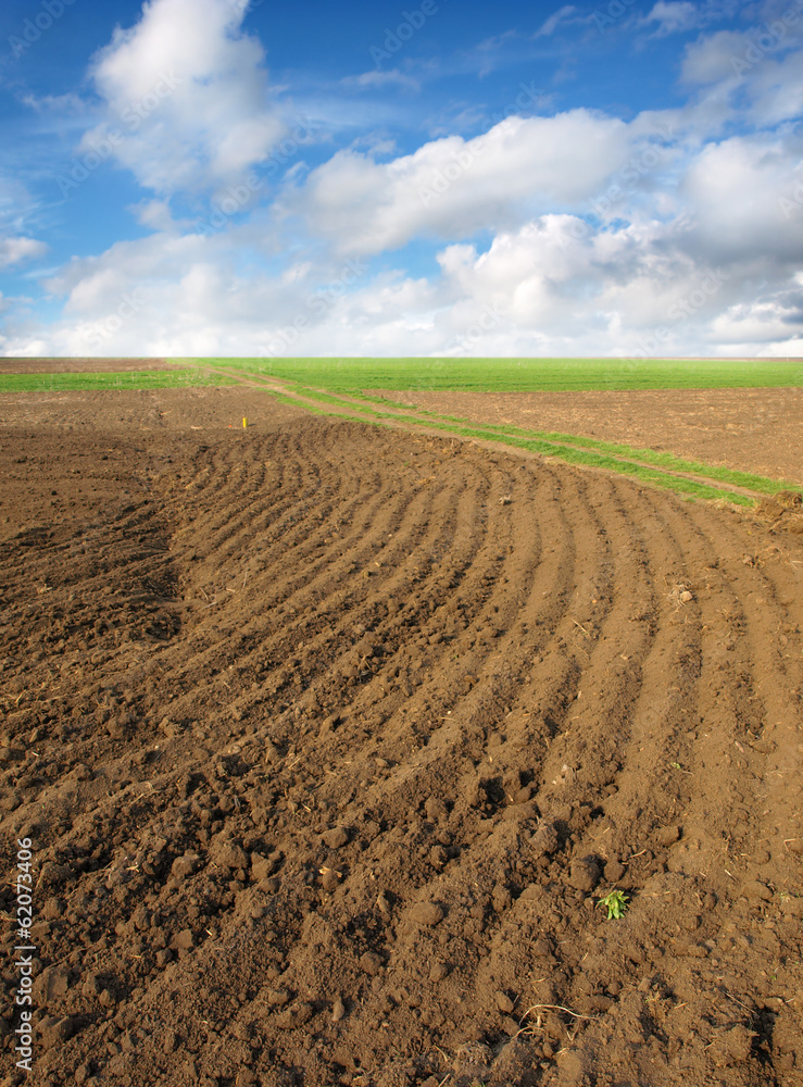 ploughed field ploughed field