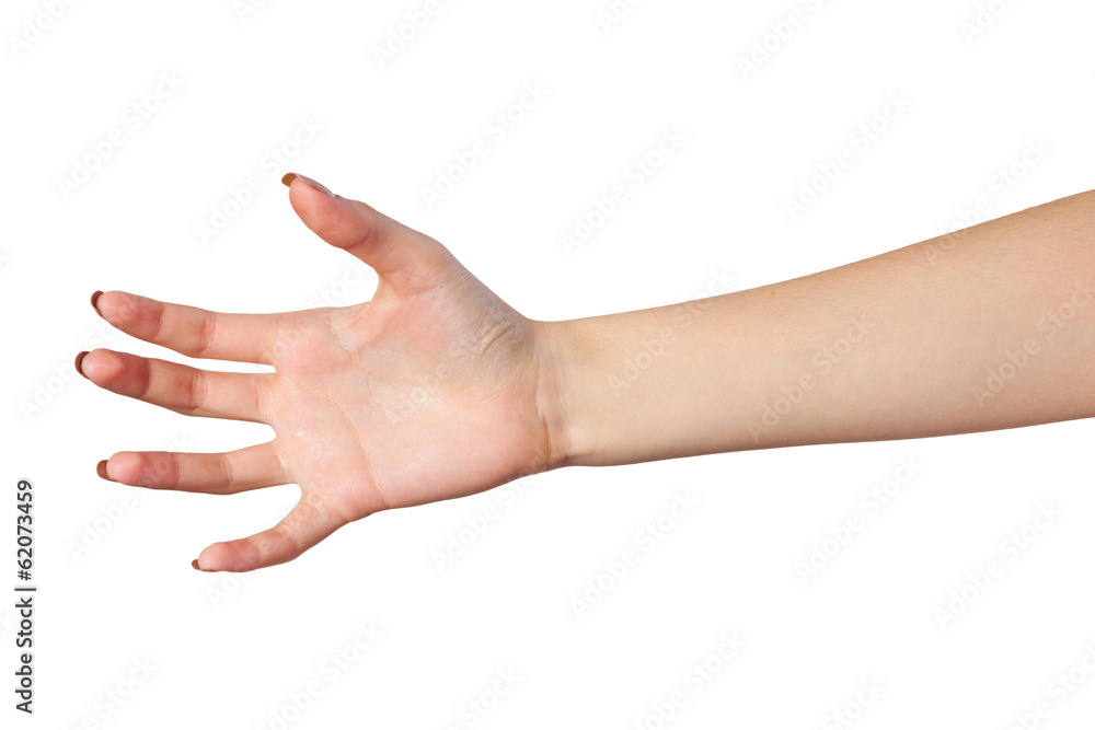 Female hand reaching for something on white Female hand reaching for something on white