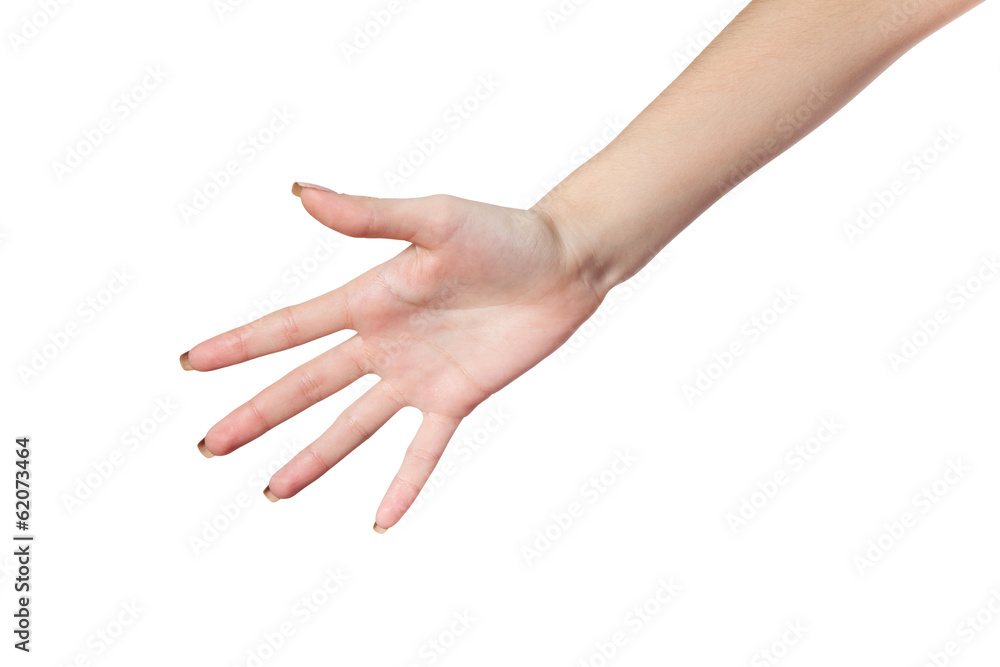 Hand gesture of Female isolated on white Hand gesture of Female isolated on white