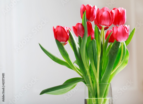Fototapeta Naklejka Na Ścianę i Meble -  Beautiful red tulips