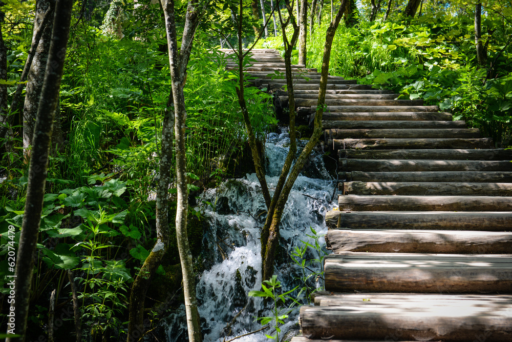 Obraz premium Wooden Hiking Path or Trail in a Forest
