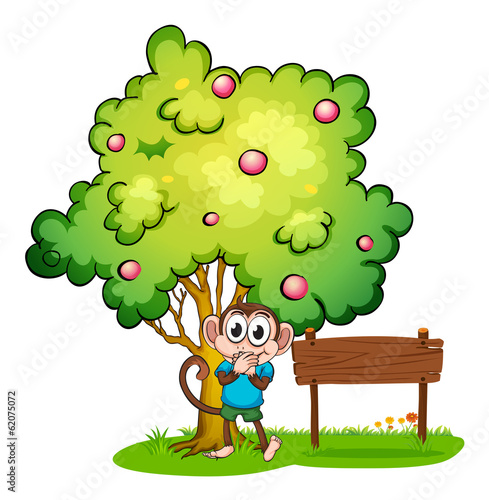 A cute monkey under the tree beside the empty wooden board