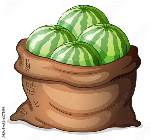 A sack of fresh watermelons