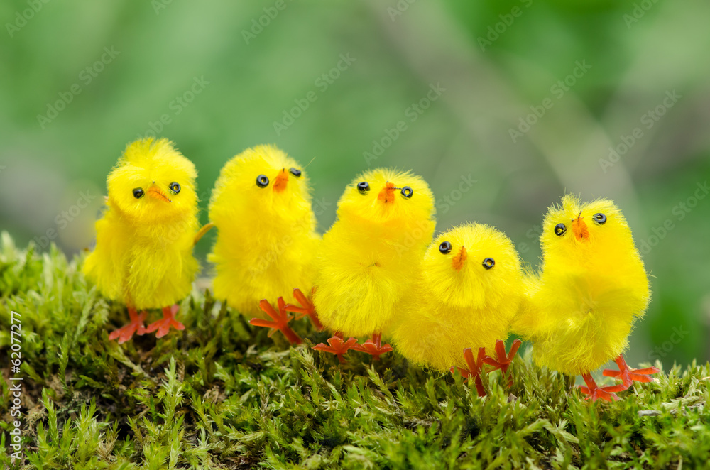 easter chicken easter chicken