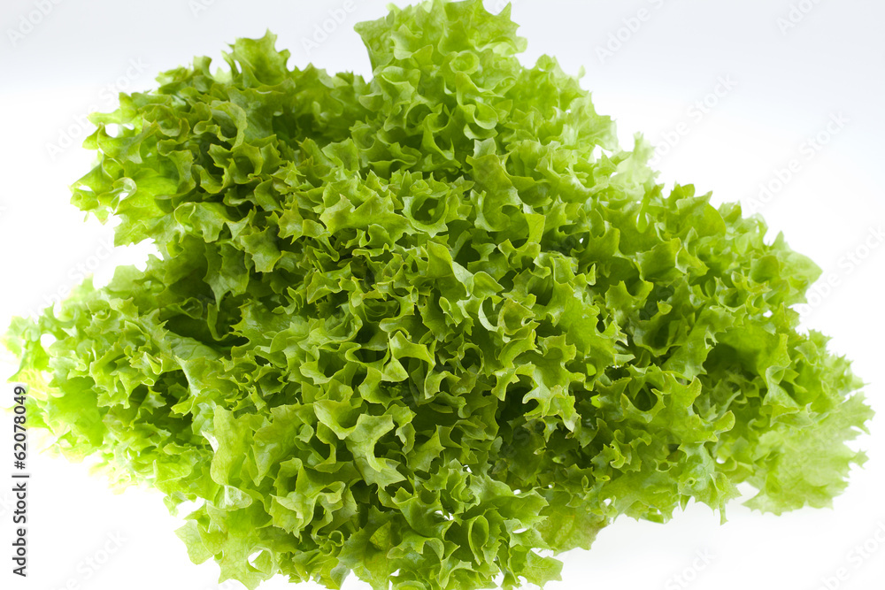 Obraz premium green lettuce jagged isolated on white background - close up