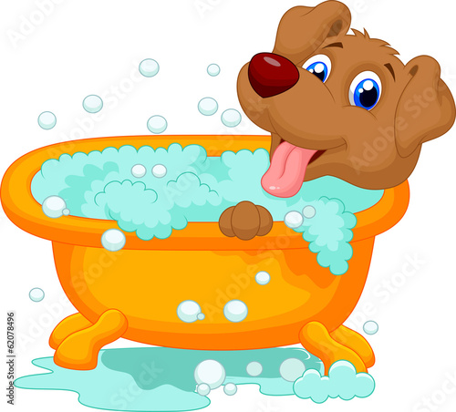 Dog bathing time