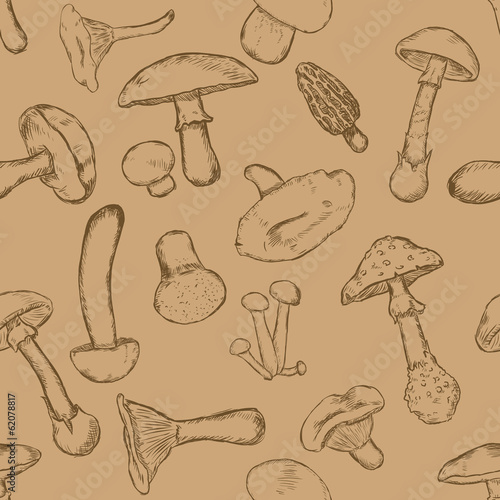 Vector Seamless Pattern of Sketch Mushrooms