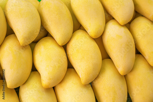 Closeup of Yellow Mango on market - exotic thai fruits