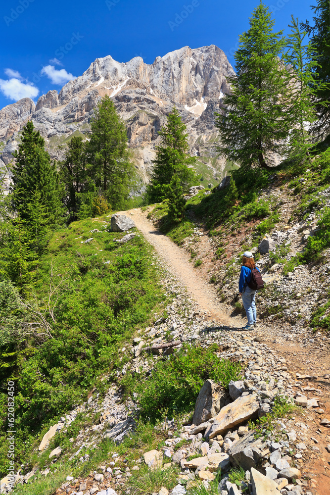 Dolomiti - hiker in Contrin Valley