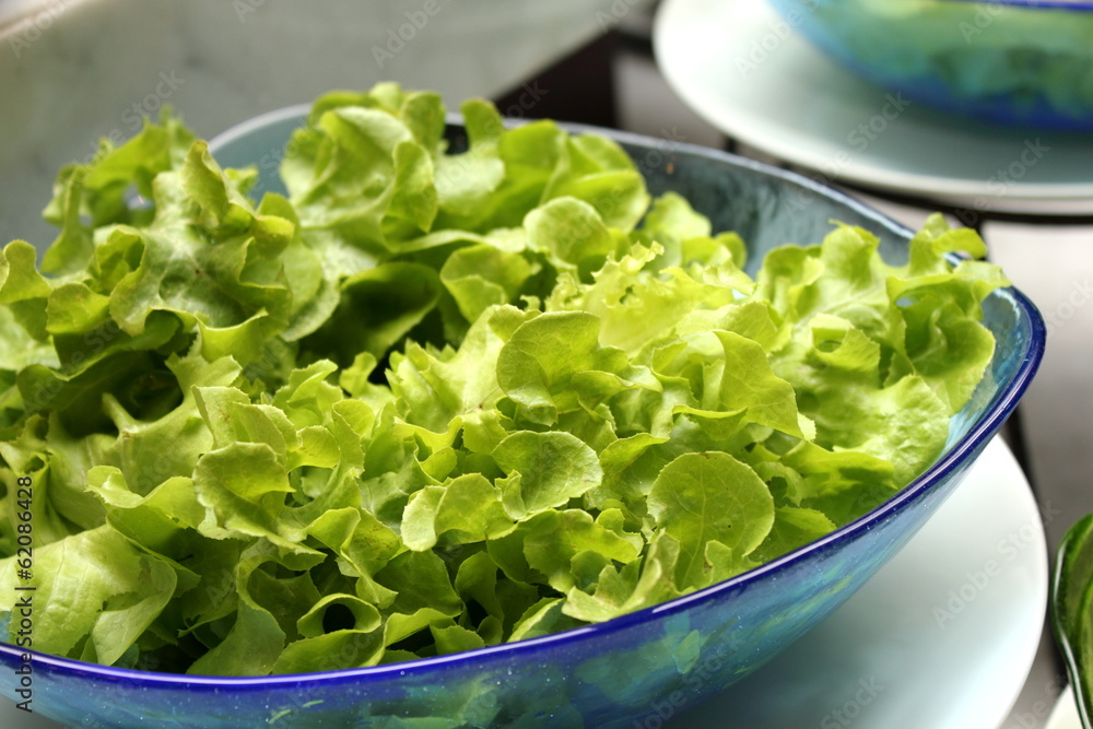 lettuce lettuce