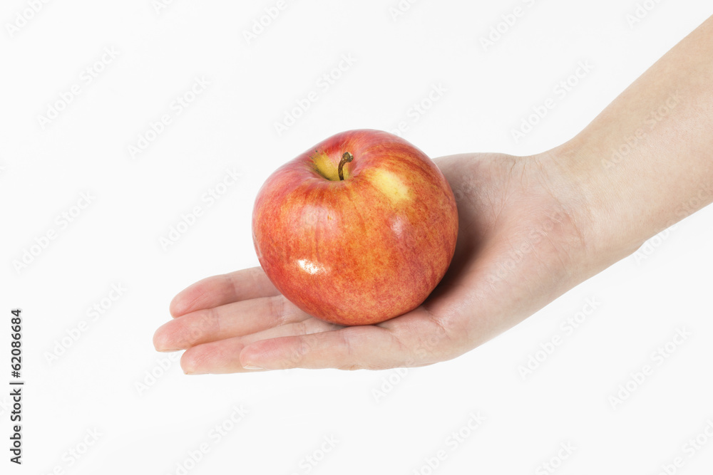 apple on the white background apple on the white background