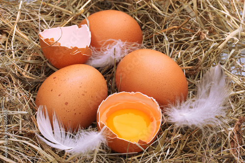 chicken eggs in a nest closeup