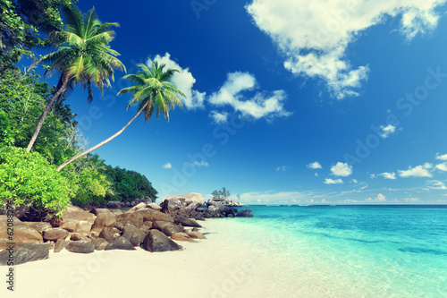 beach on Mahe island, Seychelles © Iakov Kalinin