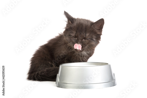 Fototapeta Naklejka Na Ścianę i Meble -  Black kitten drinks milk, on a white background