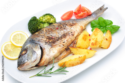 Sea bream fish