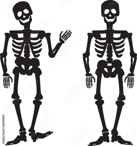 illustration of the silhouette of a human skeleton
