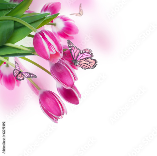 Fototapeta Naklejka Na Ścianę i Meble -  Red tulips with green grass  and  butterfly.