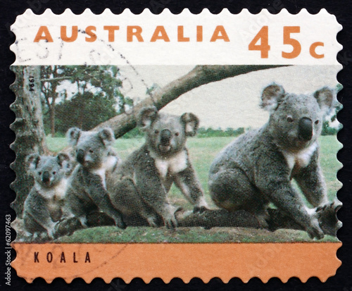 Postage stamp Australia 1994 Koala, Phascolarctos Cinereus