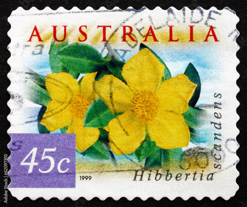 Postage stamp Australia 1999 Snake Vine, Hibbertia Scandens photo