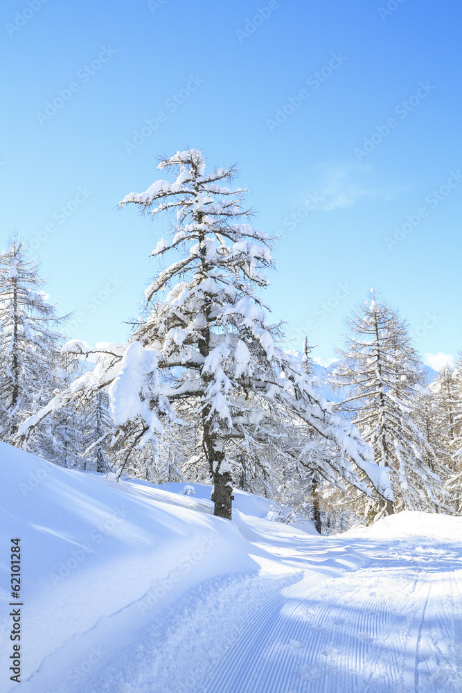Obraz premium Snowy landscape in the mountains