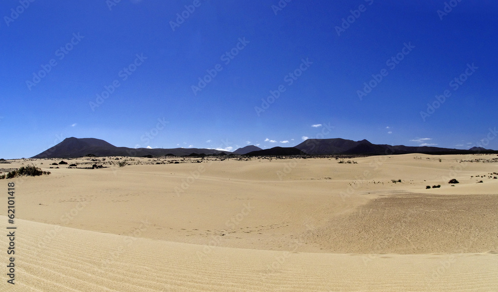 The landscape of Corralejo National Park, Fuerteventura The landscape of Corralejo National Park, Fuerteventura