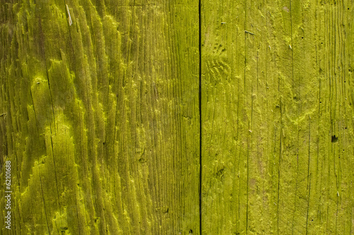 Green-yellow painted wooden board surface closeup as background