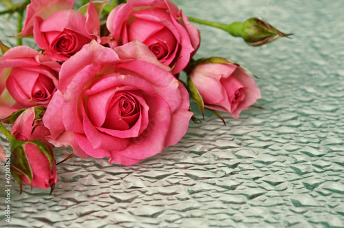 Pink rose flowers on glass