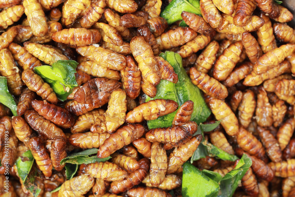 fried silk worms in the market fried silk worms in the market