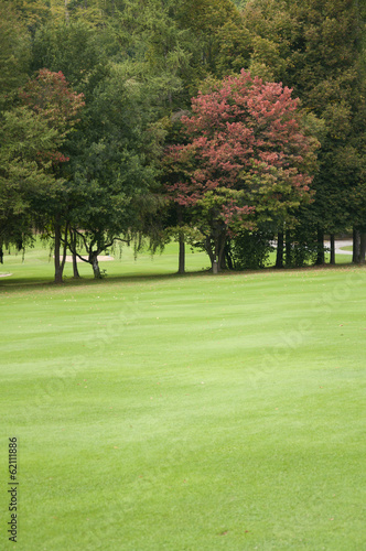 A Golf Course in Bavaria, Germany