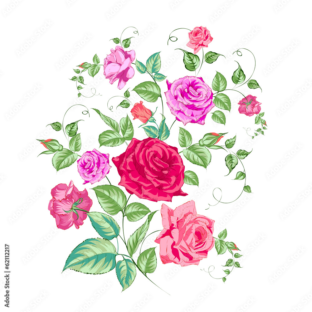 Roses branch, floral background. Roses branch, floral background.