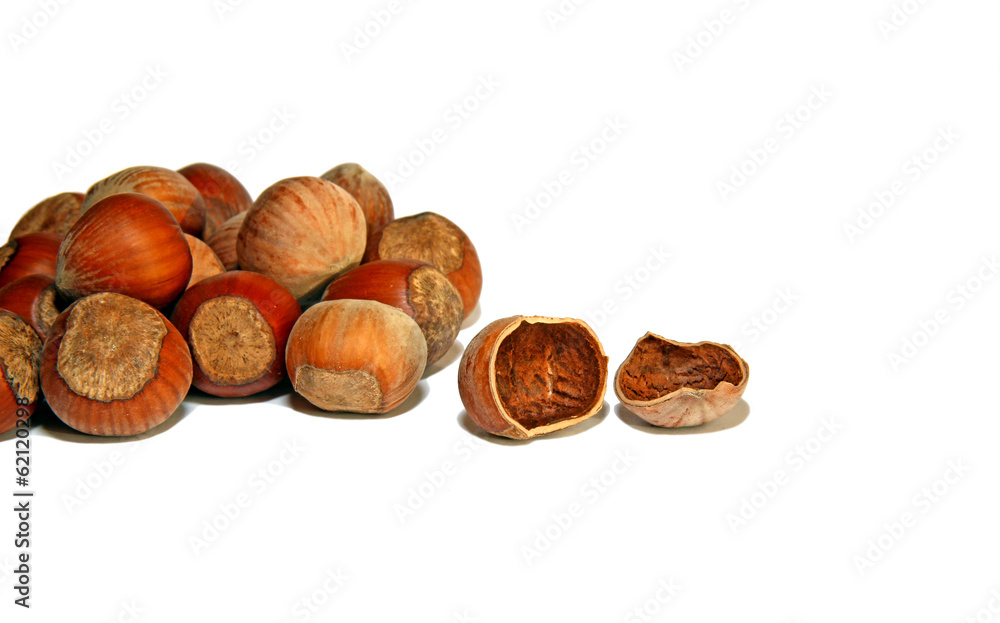 Hazelnuts and splintered nuts isolated Hazelnuts and splintered nuts isolated