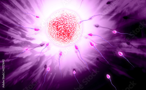 Slika na platnu sperm and ovule