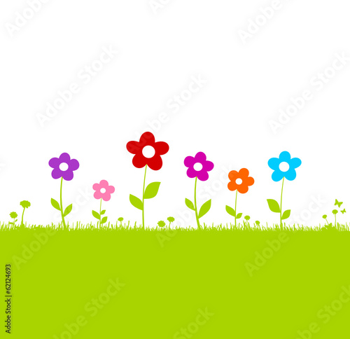 Bunte Blumenwiese
