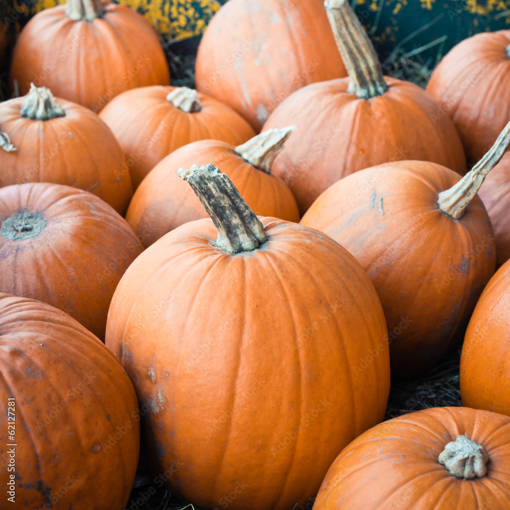 Pumpkins Pumpkins