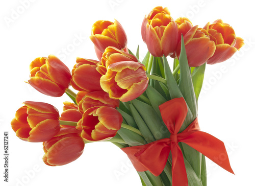 Fototapeta Naklejka Na Ścianę i Meble -  Тюльпаны