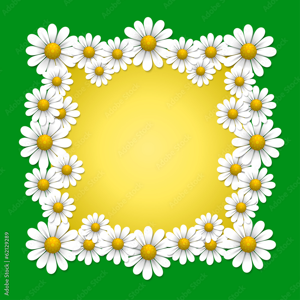 Summer background with daisy Summer background with daisy
