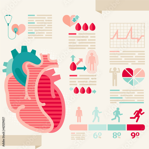 Human heart/info-graphic of Healthcare