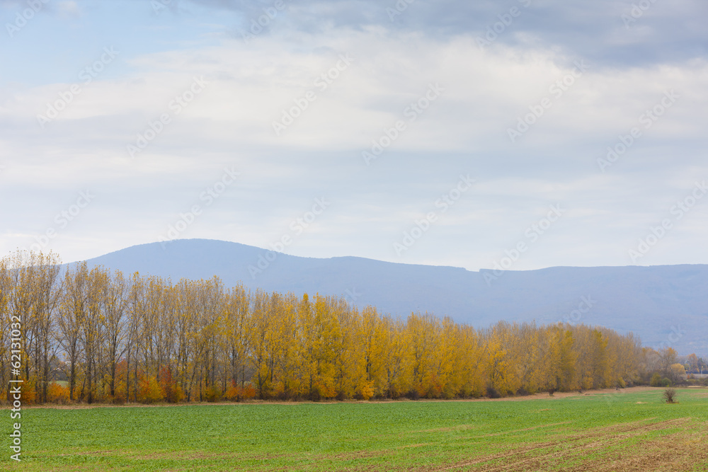 autumn landscape near Sobrance, Slovakia