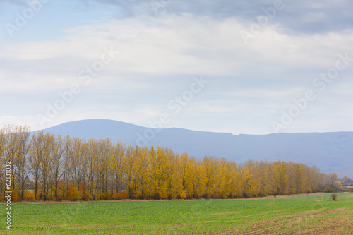 autumn landscape near Sobrance, Slovakia © Richard Semik