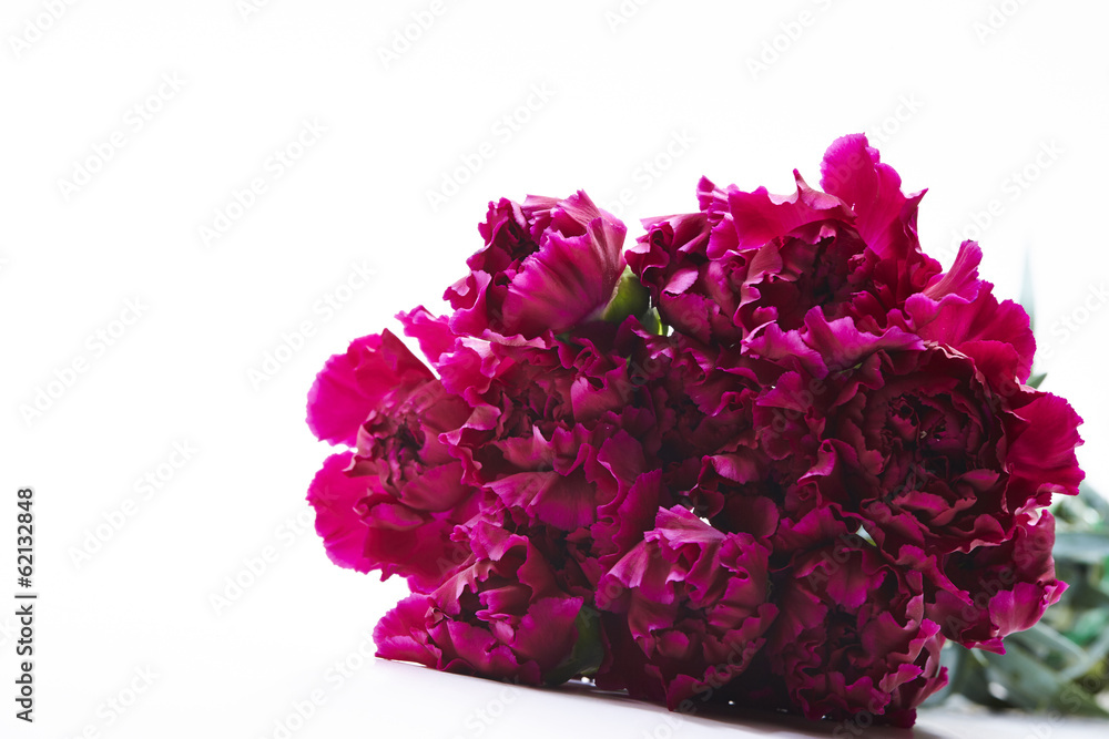 Carnations