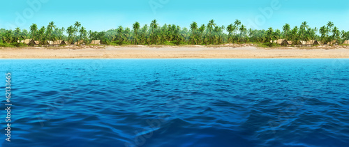 panoramic view of the coastline with coconut trees and village