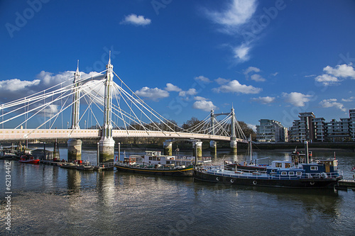 Albert Bridge, London photo