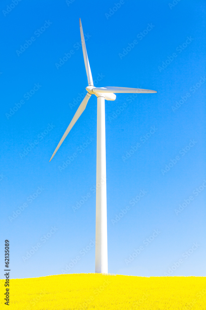 wind wind