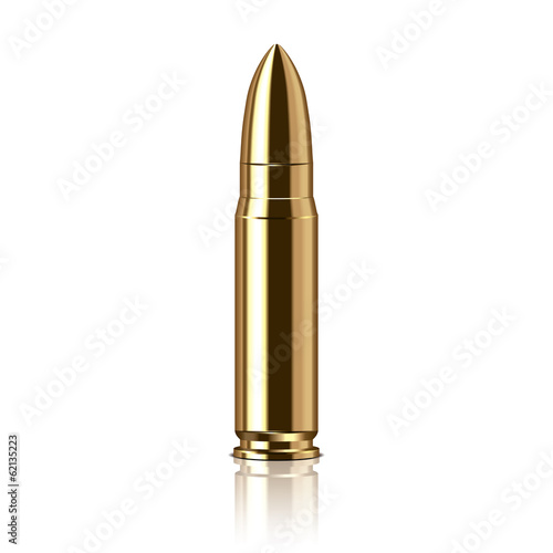 Fotografia, Obraz Rifle bullet vector illustration