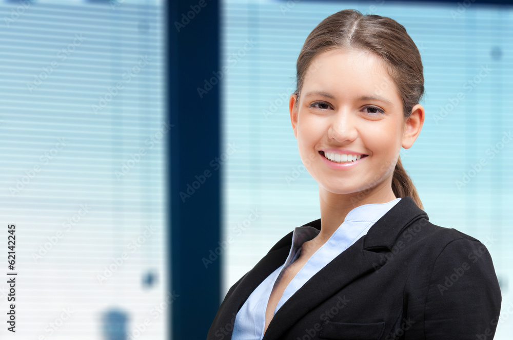 Smiling businesswoman Smiling businesswoman