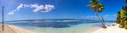 Panoramic view of tropical sand beach with palms #62143252